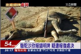 神駝被處死G2000