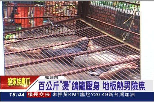烈日下被鴿籠壓倒　男差點變「烤肉」