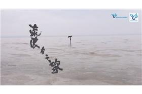 金曲獎-流浪者之歌-youtube