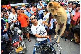 虐狗　翻攝自東方日報