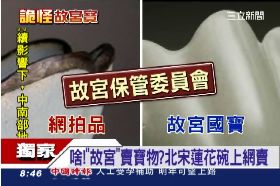 Ｃ假故宮寶騙1800