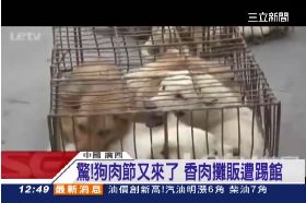 狗肉節互嗆1200