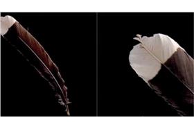 世界最貴奢侈品