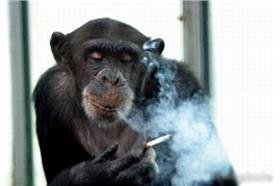 抽菸示意圖(-flickr-白崇蟲)