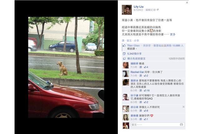 真正世間情！陳珮騏通報、救了小黃狗