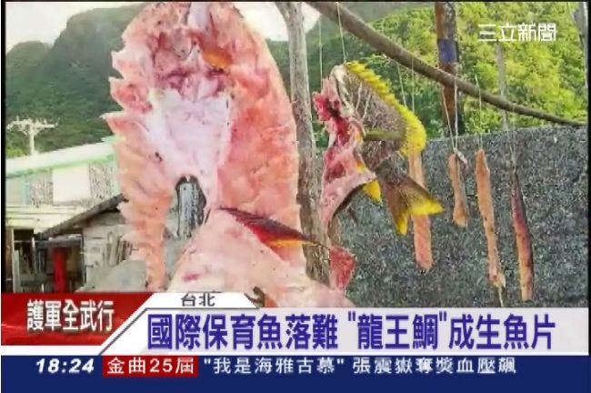 都瀕臨絕種了！「龍王鯛」變生魚片