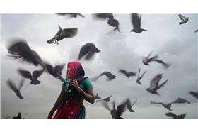 印度婦女 來源:cc license