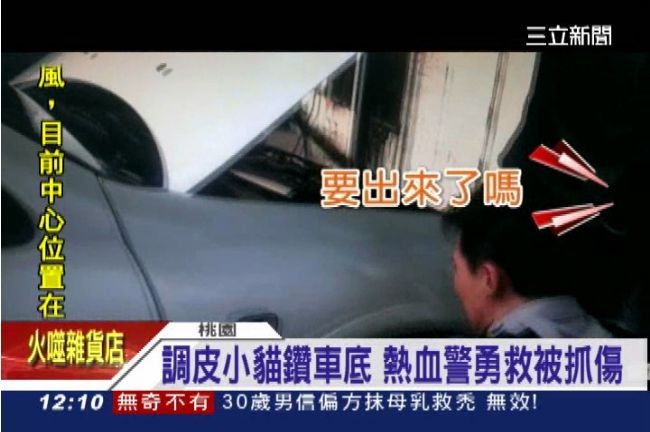躲貓貓？野貓鑽車底　勇警救貓遭抓傷