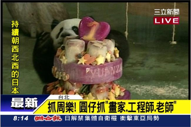 圓仔1歲了！抓周慶生　長大想當畫家