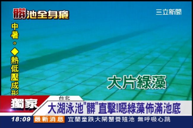 游完癢癢的！大湖公園泳池變綠藻池