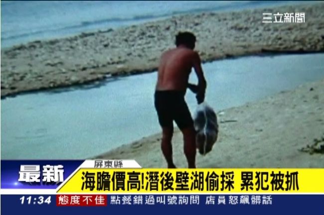 盜採海膽、抓海參　墾丁遊客開心蹂躪