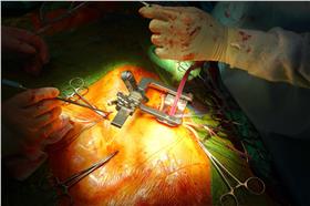 名家（李紹榕）