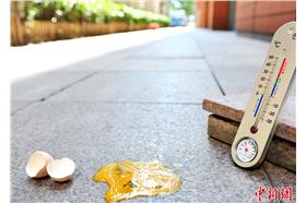 高溫,熱（來源：中新網）