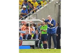 巴西教練(維機百科)