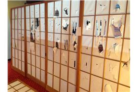 台遊客日本磋門