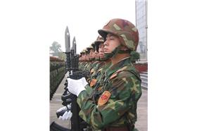 解放軍_維基百科