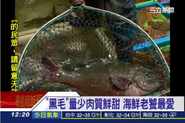 男子為抓「黑毛」　海中溺斃口鼻流血