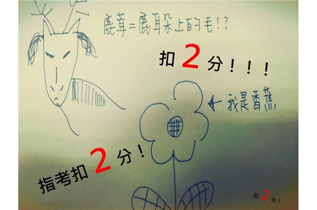 污損試卷！指考卷畫「鹿茸」扣2分