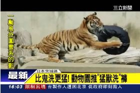 猛獸牛仔褲1700