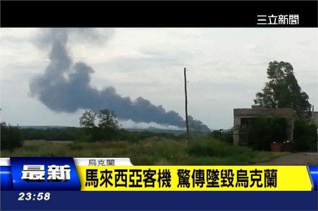 馬航客機傳遭飛彈擊落　恐295人死
