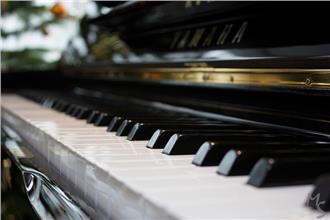 狗界神童？網友嘆：牠比我還有天份！