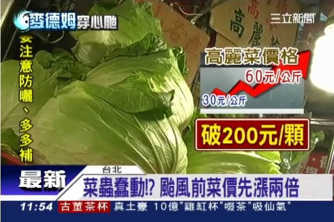 啥米？颱風還沒來　高麗菜一顆漲兩百