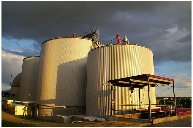 讓德國人告訴你　台灣非核為何這麼難