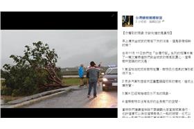 金城武樹_護樹聯盟