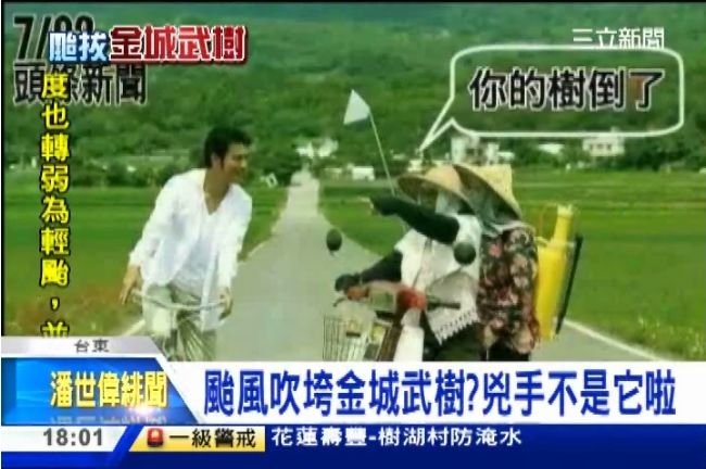兇手不只一個！分析金城武樹倒下之謎