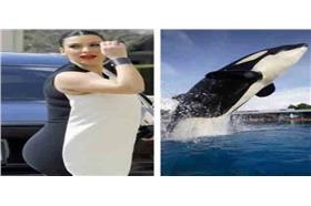 窘狀圖／http://www.boredpanda.org/similar-to-each-other/#post3