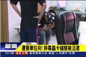 活捉胖毒蟲1100