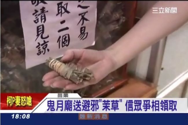 鬼門開驚驚！超夯避邪「茉草」超搶手