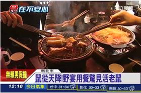 老鼠,衛生,環境,從天而降,慶生,用餐,野宴,燒肉