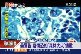 伊波拉擴散1800