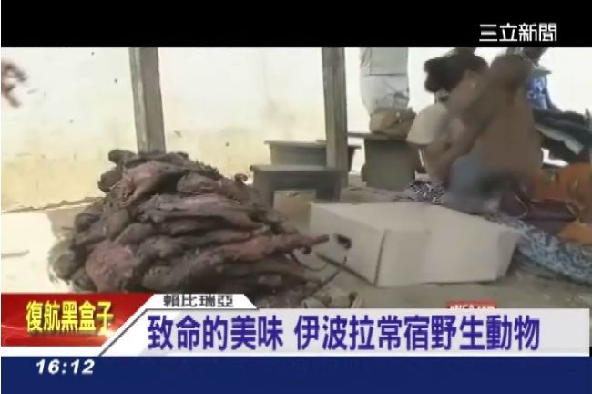 「獸肉」帶病？吞「野味」恐染伊波拉