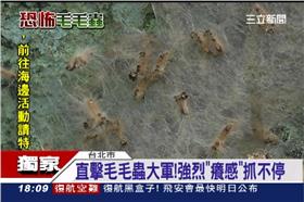 胡佩蓮,九份,黃金博物館,毛毛蟲,皮膚炎