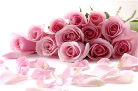 玫瑰花-翻攝自愛合購