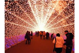 燈踩節(來源:Flickr:Emran Kassim)