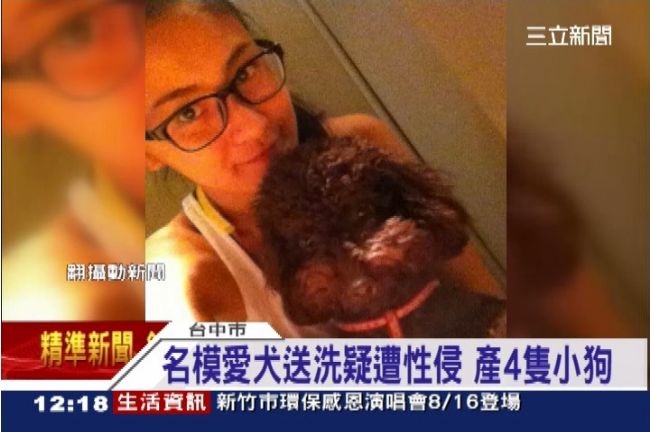洗洗「睡」？名模愛犬送洗竟生4隻狗