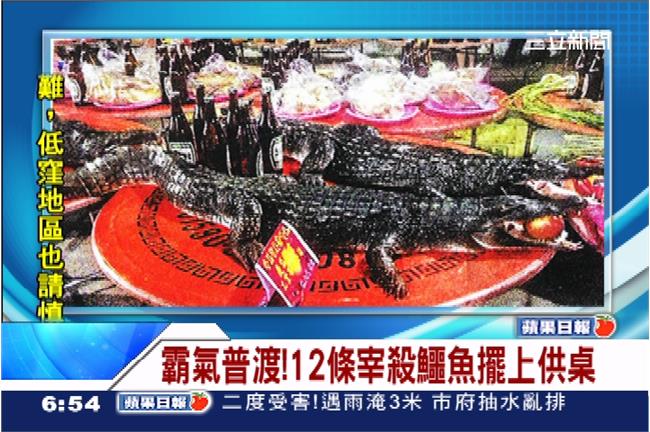 中元普渡拜「鱷魚」　取代神豬求新意