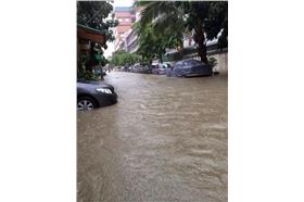 災區淹水-o型嘴家族