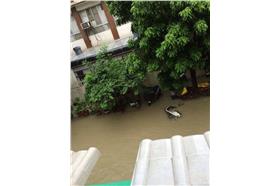 高雄淹大水（三立O型嘴家族）