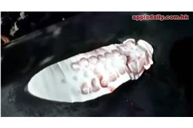 小鯨鯊被切魚鰭(Youtube截圖)