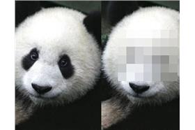 (名家)貓熊卸妝_卡卡洛普