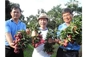 草地狀元黃西田