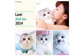 貓（陳子玄臉書）