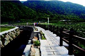 竹子湖，出自台北市政府