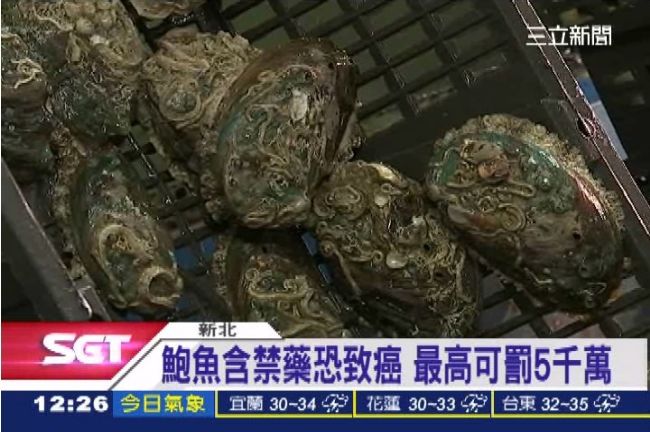 新北市抽驗鮑魚含禁藥　吃多恐致癌