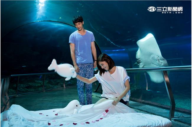 好閃劉以豪、郭雪芙水族隧道浪漫共枕