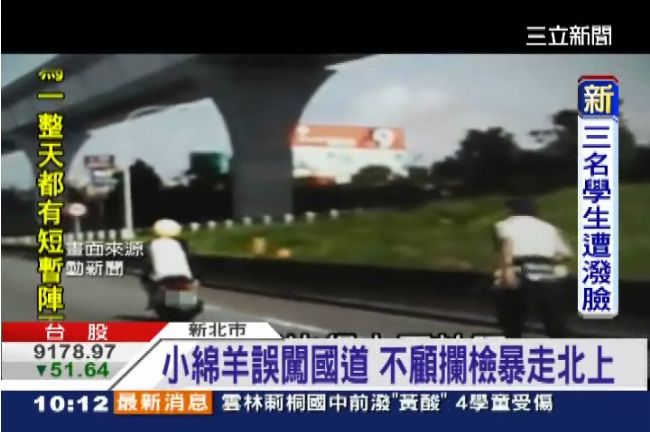國道驚見小綿羊！警察一路狂追追不到